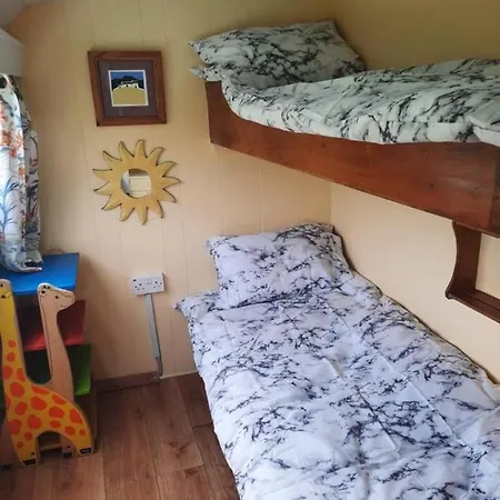 D'arc In The Park Guest house *